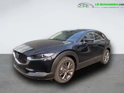 Utilisé 2024 Mazda CX-30 SUV | 35 200 € (Prix assez cher)