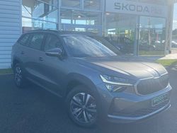 Gris Utilisé 2024 Skoda Kodiaq Selection SUV | 42 890 € (Prix juste)