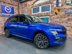 Bleu Occasion 2025 Skoda Kamiq SUV | 30 225 € (Prix assez cher)