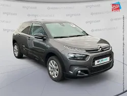 Gris Utilisé 2019 Citroën C4 Cactus PureTech Citadine | 10 999 € (Bon prix)
