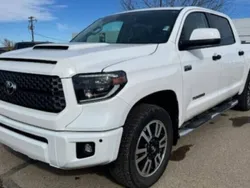 Utilisé 2021 Toyota Tundra Pick-up | 54 021 € (Prix juste)
