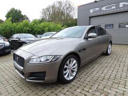 Beige Utilisé 2019 Jaguar XF Portfolio Berline | 22 500 € (Prix juste)