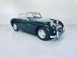 Vert Occasion 1960 Austin Healey Sprite Cabriolet | 18 750 €