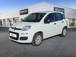 Blanc Occasion 2022 Fiat Panda S Berline | 9 490 € (Bon prix)