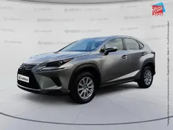 Gris Utilisé 2018 Lexus NX300h Business Edition SUV | 21 499 € (Prix juste)