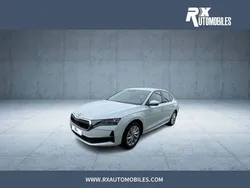 Blanc Utilisé 2024 Skoda Octavia Selection | 31 900 € (Prix juste)