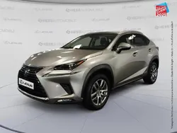 Gris Utilisé 2019 Lexus NX300h SUV | 30 999 € (Prix juste)