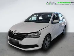 Utilisé 2021 Skoda Fabia Citadine | 18 000 € (Prix assez cher)