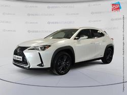 Blanc Utilisé 2019 Lexus UX 250h SUV | 22 499 € (Prix juste)