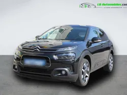 Utilisé 2019 Citroën C4 Cactus PureTech Citadine | 15 400 € (Prix cher)