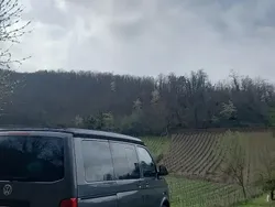 VW T5