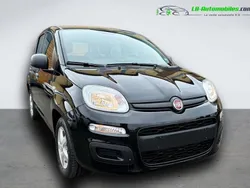 Utilisé 2020 Fiat Panda Citadine | 12 700 € (Prix juste)