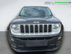 Utilisé 2017 Jeep Renegade SUV | 19 400 € (Prix juste)