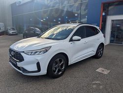 Blanc Utilisé 2024 Ford Kuga ST-Line SUV | 31 990 € (Prix assez cher)