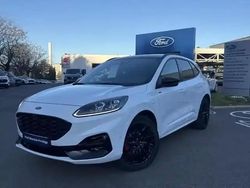 Blanc Utilisé 2024 Ford Kuga ST-Line X SUV | 35 384 € (Prix cher)