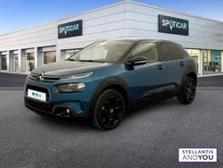 Vert Utilisé 2019 Citroën C4 Cactus PureTech Citadine | 11 990 € (Prix juste)