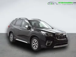 Utilisé 2020 Subaru Forester SUV | 27 000 € (Super prix)