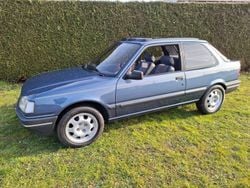 Bleu Utilisé 1990 Peugeot 309 Citadine | 5 750 €