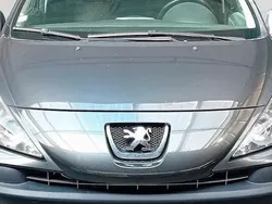 Gris Utilisé 2007 Peugeot 207 Break | 3 490 € (Prix cher)