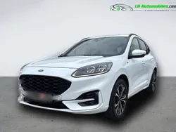 Utilisé 2020 Ford Kuga SUV | 31 100 € (Prix assez cher)