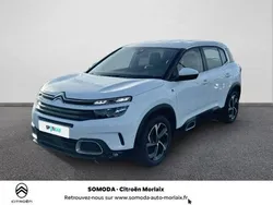 Blanc Utilisé 2020 Citroën C5 Aircross Feel SUV | 20 480 € (Bon prix)