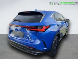 Utilisé 2024 Lexus NX350h | 59 900 €