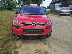 Rouge Utilisé 2019 Citroën C4 Cactus Shine Citadine | 11 499 € (Bon prix)