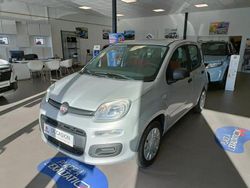Gris Utilisé 2020 Fiat Panda Easy Citadine | 8 490 € (Bon prix)