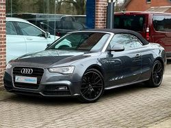 Gris Utilisé 2016 Audi A5 Cabriolet S-Line Cabriolet | 22 950 €