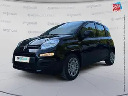Noir Nouvelle 2025 Fiat Panda Classica Citadine | 15 990 € (Prix juste)