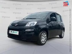 Noir cinema pastel extrasérie Nouvelle 2025 Fiat Panda S Berline | 13 464 € (Prix juste)
