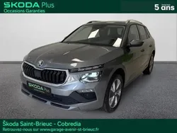 Gris Utilisé 2024 Skoda Kamiq Selection SUV | 26 890 €