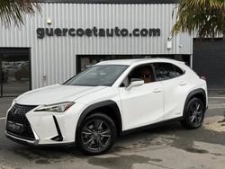 Blanc Utilisé 2019 Lexus UX 250h SUV | 21 990 € (Prix juste)