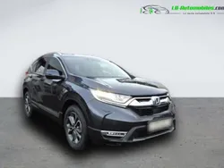 Utilisé 2022 Honda CR-V SUV | 45 000 €