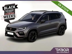 Gris Nouvelle 2025 Cupra Ateca SUV | 33 241 € (Prix juste)