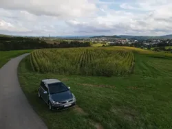 Gris Utilisé 2019 VW Golf VII R Berline | 39 000 € (Prix cher)