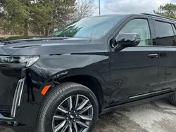 Noir Utilisé 2024 Cadillac Escalade SUV | 123 501 € (Super prix)