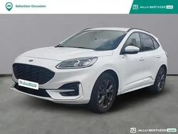 Blanc Utilisé 2023 Ford Kuga ST-Line X SUV | 31 489 € (Prix assez cher)