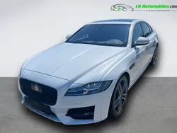Utilisé 2020 Jaguar XF Berline | 41 400 €