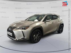 Gris Utilisé 2024 Lexus UX 300h SUV | 33 999 € (Super prix)