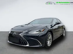 Utilisé 2023 Lexus ES300H Berline | 56 900 € (Prix assez cher)