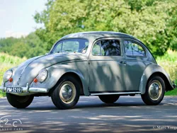 Gris Utilisé 1956 VW Beetle Berline | 29 500 €