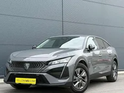 Gris Utilisé 2024 Peugeot 408 Allure Berline | 23 490 € (Bon prix)