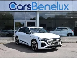 Blanc Utilisé 2023 Audi Q8 e-tron S-Line SUV | 56 900 € (Super prix)