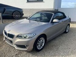 Gris Utilisé 2017 BMW 220 Cabriolet | 15 850 €