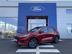 Rouge Utilisé 2024 Ford Kuga ST-Line X SUV | 37 490 € (Prix cher)