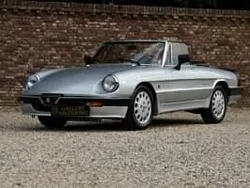 Gris Utilisé 1988 Alfa Romeo Spider Quadrifoglio Verde Cabriolet | 25 500 €