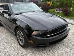 Utilisé 2014 Ford Mustang Premium Coupé | 11 900 €