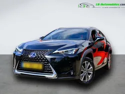 Utilisé 2020 Lexus UX 300e SUV | 24 900 € (Prix assez cher)