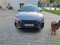 Gris Utilisé 2023 Audi Q8 e-tron S-Line SUV | 55 000 €